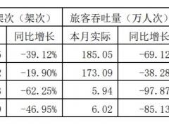 上海機(jī)場(chǎng)：1月旅客吞吐量同比下降69.12%