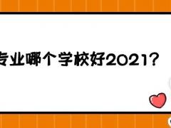 空乘專業(yè)哪個學(xué)校好2021？