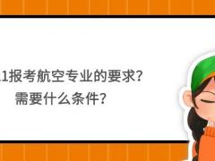 2021報考航空專業(yè)的要求？需要什么條件？