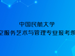 中國民航大學(xué)2023年航空服務(wù)藝術(shù)與管理專業(yè)報考條件