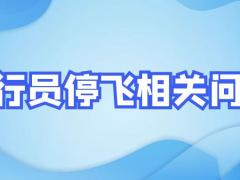 飛行員專業(yè)什么原因會被停飛？