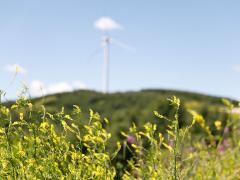 盤點：空軍招飛與民航招飛的異同與報考細節(jié)